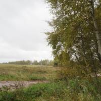 Природа Белыхино, осень 2016