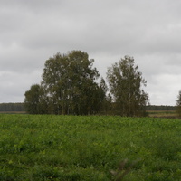 Природа Белыхино, осень 2016