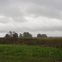 Природа Белыхино, осень 2016