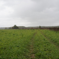 Природа Белыхино, осень 2016