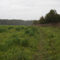 Природа Белыхино, осень 2016