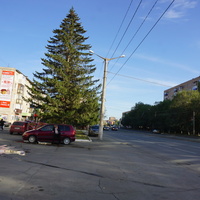 На улице Макаренко.