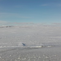 Заполярная тундра