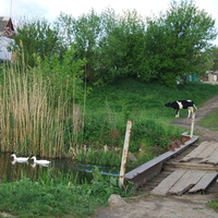 село Лысая Гора
