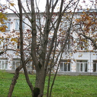 Сыктывкар 2016