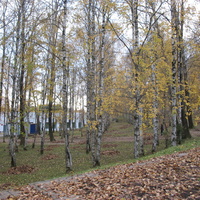 Сыктывкар 2016