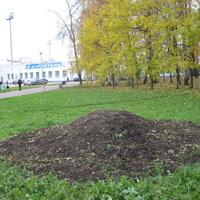 Сыктывкар 2016