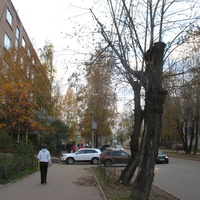 Сыктывкар 2016