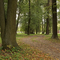 Старый парк