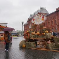 Осенний гастрономический марафон ярмарок Золотая Осень