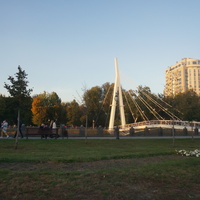 Пешеходный мост в парк Стрелка