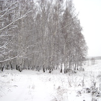 Берсениха,декабрь 2010