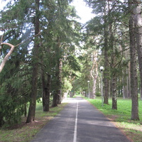 Вело-пешеходная дорожка в Оруском парке