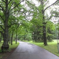 Аллея в Ору-парке