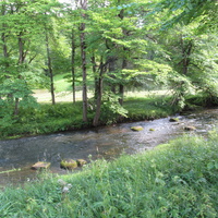 Речка Пюхайыги. Сад камней