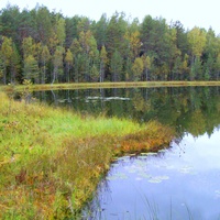 Деревня Воронцово.  Озеро в лесу