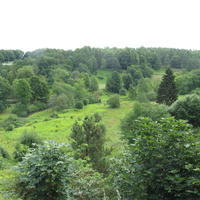Тойла. Ору-парк. Вид на нижнюю часть парка Знаменной горы