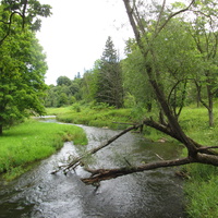 Река Пюхайыга в нижней части парка