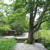 Тойла, Ору-парк. Дендрарий