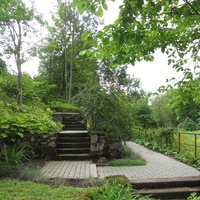 Тойла, Ору-парк. Дендрарий