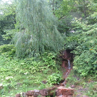 Тойла, Ору-парк.