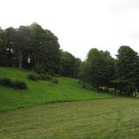 Тойла, Ору-парк. Дендрарий