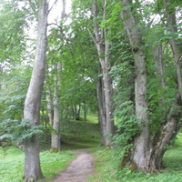 Тойла, Ору-парк. Дендрарий