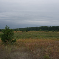 Нарышкино, природа