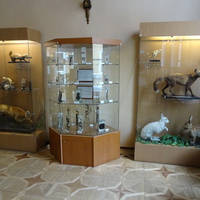 Музей гигиены