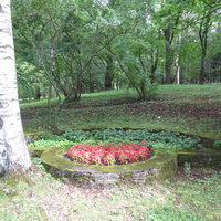 Тойла. Ору-парк. Территория дома-коменданта