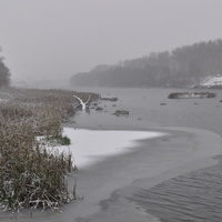 Река Сосна. Первый снег.