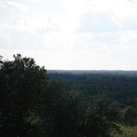 Вид на Старь  (лес).