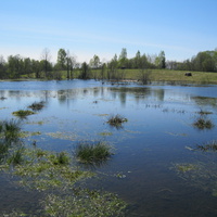 Разлив Головницкого ручья весной.