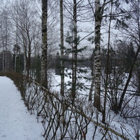 Павловский парк. Декабрь-2016.