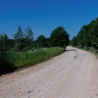 дорога из Лутовёнки  в  Падбережье, июнь 2006 года.