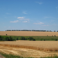 Село Сарлей,урожай 2010