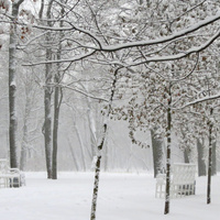 Екатерининский парк. Зима. Метель