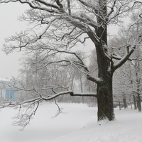 Екатерининский парк. Зима. Метель