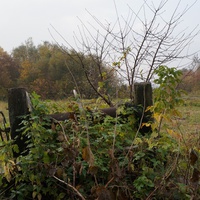 Старый колодец