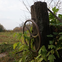 Старый колодец