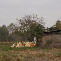 Михайловка