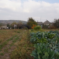 Михайловка