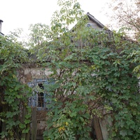 Луговая улица