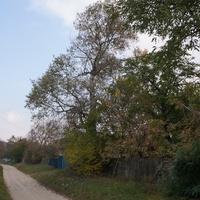 Улица Павловая