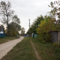 Павловая улица