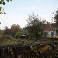 Павловая улица