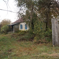 Павловая улица