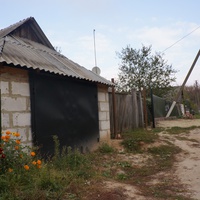 Павловая улица