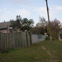 Павловая улица