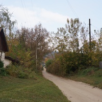 Павловая улица